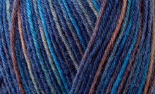 Regia 4-fadig 4ply Sock Yarn