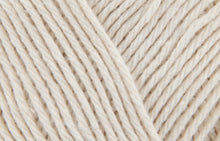Stylecraft Craft DK Cotton (100g)