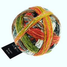 Schoppel Biodegradable (Organic) Sock 4ply Yarn