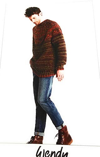 6135 Wendy Unisex Fair Isle Yoke Sweater in Botanics Chunky Knitting Pattern