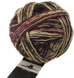 Schoppel Wunderklecks 2132_ Rosewood 75% Virgin Wool, 25% Nylon (biodegradable)Yarn